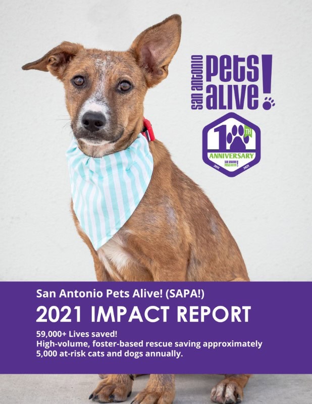 sapa-2021-impact-report