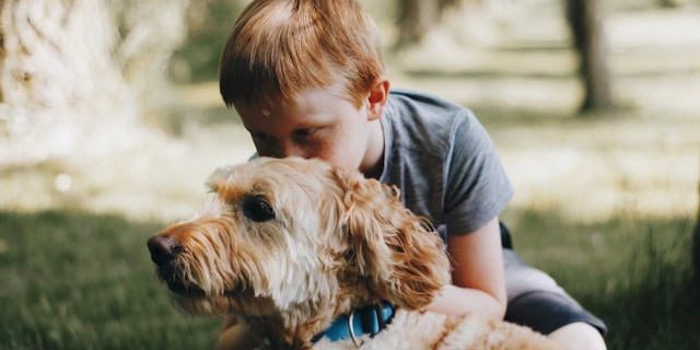 nathan-hanna-7hxC83Qcuwo-unsplash
